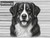 Print Your Dog Photo To Artistic Dog Print Tin Sign Poster | Memorable Art Piece | Custom Tin Sign Dog Artwork