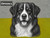 Print Your Dog Photo To Artistic Dog Print Tin Sign Poster | Memorable Art Piece | Custom Tin Sign Dog Artwork | Personalised Tin Sign Plate