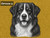 Print Your Dog Photo To Artistic Dog Print Tin Sign Poster | Memorable Art Piece | Custom Tin Sign Dog Artwork