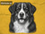 Print Your Dog Photo To Artistic Dog Print Tin Sign Poster | Memorable Art Piece | Custom Tin Sign Dog Artwork | Personalised Tin Sign Plate