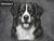 Print Your Dog Photo To Artistic Dog Print Tin Sign Poster | Memorable Art Piece | Custom Tin Sign Dog Artwork | Personalised Tin Sign Plate