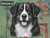Print Your Dog Photo To Artistic Dog Print Tin Sign Poster | Memorable Art Piece | Custom Tin Sign Dog Artwork | Personalised Tin Sign Plate