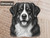 Print Your Dog Photo To Artistic Dog Print Tin Sign Poster | Memorable Art Piece | Custom Tin Sign Dog Artwork | Personalised Tin Sign Plate