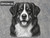 Print Your Dog Photo To Artistic Dog Print Tin Sign Poster | Memorable Art Piece | Custom Tin Sign Dog Artwork | Personalised Tin Sign Plate