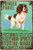 Springer Spaniel Animal Typography Vintage Metal Tin Sign Poster Plaque Plate Club Wall Décor
