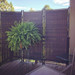 Premium Folding Wicker Partition   Premium Folding Wicker Partition
