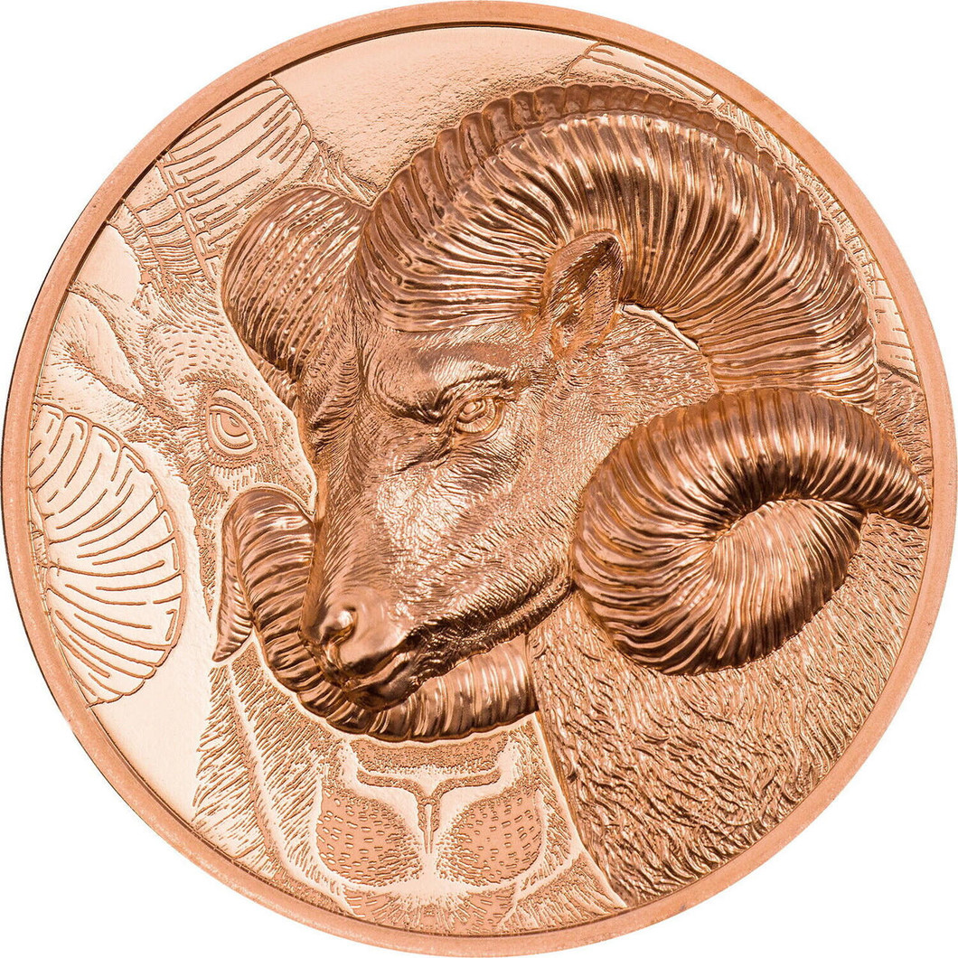  2022 Mongolia Magnificent Argali 50g Copper Coin 