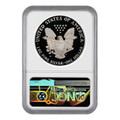 Bullionshark 2019-W Proof Silver Eagle NGC PF70 