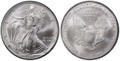 1995 Silver Eagle Brilliant Uncirculated