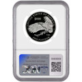 Bullionshark 2019 $100 Platinum Eagle NGC PF70 UCAM "Liberty" 