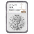 Bullionshark 2024 $1 American Silver Eagle NGC MS70 Brown Label 