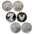 Bullionshark Ultimate First Year of Issue Silver Eagle 3pc Collection 