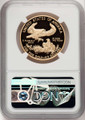 Bullionshark 2020-W $50 Modern Bullion Coin NGC MS70 UCAM    - HAT506402118