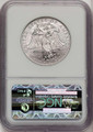 Bullionshark 2008-W $100 Modern Bullion Coin NGC MS70   - HAT519589017