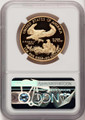 Bullionshark 2021-W G$50 Modern Bullion Coin NGC MS70 UCAM    One Ounce Gold Eagle, Type One, First Strike, - HAT506165011 