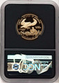 Bullionshark 2003-W $25 1/2 oz American Gold Eagle Coin NGC MS70 - HAT779218022 