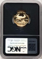 Bullionshark 2007-W $10 1/4 oz American Gold Eagle Coin NGC MS70 - HAT521360026 