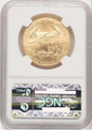 Bullionshark 2008-W $50 Burnished 1 oz American Gold Eagle Coin NGC MS70 - HAT778246019 