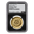 2025 $100 American Liberty Gold High Relief Coin NGC PF70 UCAM - Black Label 1 of 5   2025 $100 American Liberty Gold High Relief Coin NGC PF70 UCAM - Black Label 1 of 5