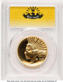 Bullionshark 2019-W $100 Gold High Relief Coin PCGS MS70   Enhanced - HAT780503003  Bullionshark 2019-W $100 Gold High Relief Coin PCGS MS70   Enhanced - HAT780503003