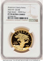 Bullionshark 2023-W $100 Gold High Relief Coin NGC MS70 UCAM    American Liberty - HAT781704001  Bullionshark 2023-W $100 Gold High Relief Coin NGC MS70 UCAM    American Liberty - HAT781704001