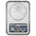 Bullionshark 2007-W Burnished Silver Eagle NGC MS70 