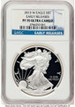Bullionshark 2013-W S$1 American Silver Eagle Coin NGC MS70, First Strike - HAT778752132 