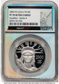 Bullionshark 2000-W $100 Modern Bullion Coin NGC MS70   One-Ounce Platinum Eagle, Statue of Liberty - HAT507538001 