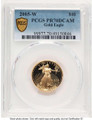 Bullionshark 2005-W G$10 1/4 oz American Gold Eagle Coin PCGS MS70 - HAT782575006 
