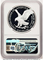 Bullionshark 2021-W S$1 American Silver Eagle Coin NGC MS70, Type Two, First Day of Issue - HAT780966035 
