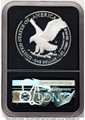 Bullionshark 2023-W $1 American Silver Eagle Coin NGC MS70, First Day of Issue - HAT771603074 