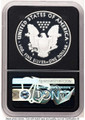 Bullionshark 2020-S S$1 Proof American Silver Eagle Coin NGC PF70 UCAM - HAT782862046 