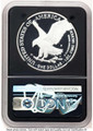 Bullionshark 2021-S S$1 Proof American Silver Eagle Coin NGC PF70 UCAM - Type Two - HAT782862010 