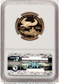 Bullionshark 1996-W $25 Proof 1/2 oz American Gold Eagle Coin NGC PF70 UCAM - HAT522240173 