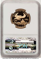 Bullionshark 2002-W $25 Proof 1/2 oz American Gold Eagle Coin NGC PF70 UCAM - HAT522240314 