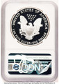 Bullionshark 1995-P S$1 Proof American Silver Eagle Coin NGC PF70 UCAM - HAT753594544 