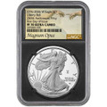  1776-2026 W Silver Eagle NGC PF70 UCAM - Liberty Bell Privy - Magnum Opus Black Core (1 of 250) -  w/Box & CoA 