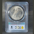  1923 Peace Silver Dollar PCGS MS64 