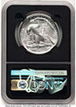 Bullionshark 2020-W $25 Burnished Palladium Eagle Coin NGC MS70 - HAT521612039 