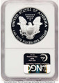 Bullionshark 2004-W S$1 Proof American Silver Eagle Coin NGC PF70 UCAM - HAT783243015 