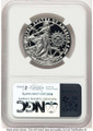 Bullionshark 2013-W $100 1 oz Platinum Eagle NGC PF70 - HAT785994011 