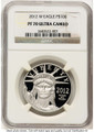 2012-W $100 Proof Modern Bullion Coin NGC PF70   One-Ounce Platinum Eagle coin front image