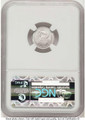 Bullionshark 2007-W $10 Burnished 1/10 oz Platinum Eagle Coin NGC MS70 - HAT782206008 