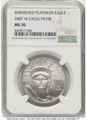 2007-W $100 Burnished Modern Bullion Coin NGC MS70   One-Ounce Platinum Eagle coin front image