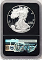 2021-S S$1 Proof American Silver Eagle Coin NGC PF70 UCAM - Type Two coin back image