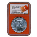 1987(S) American Silver Eagle $1 NGC MS69 — Struck at San Francisco