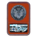 1987(S) American Silver Eagle $1 NGC MS69 — Struck at San Francisco