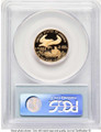 Bullionshark 2006-W $10 Proof 1/4 oz American Gold Eagle Coin PCGS PR70 DCAM - HAT507491023 
