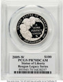 Bullionshark 2009-W $100 Proof Modern Bullion Coin PCGS PR70   One-Ounce Platinum Eagle - HAT508009030 