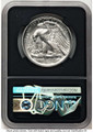 2020-W $25 Burnished Palladium Eagle Coin NGC MS70 coin back image